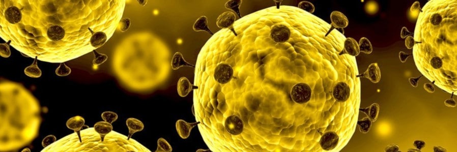 La CONFAVC lamenta que el movimient associatiu hagi quedat fora dels protocols d’informació i actuació de l’administració pública davant dels casos de Coronavirus a Catalunya