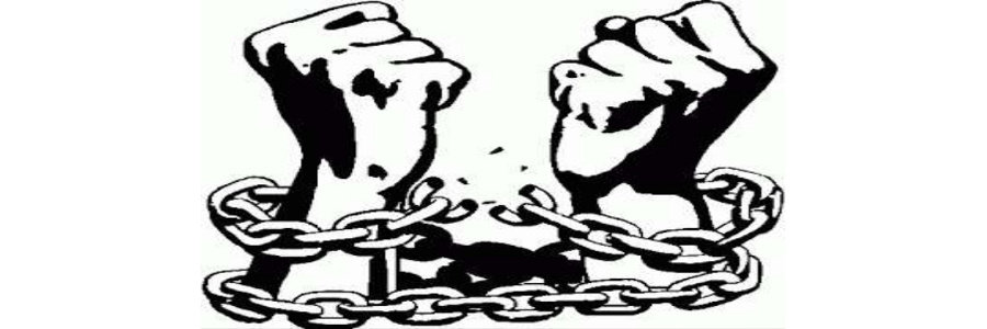 FAVSabadell: a favor de la democràcia