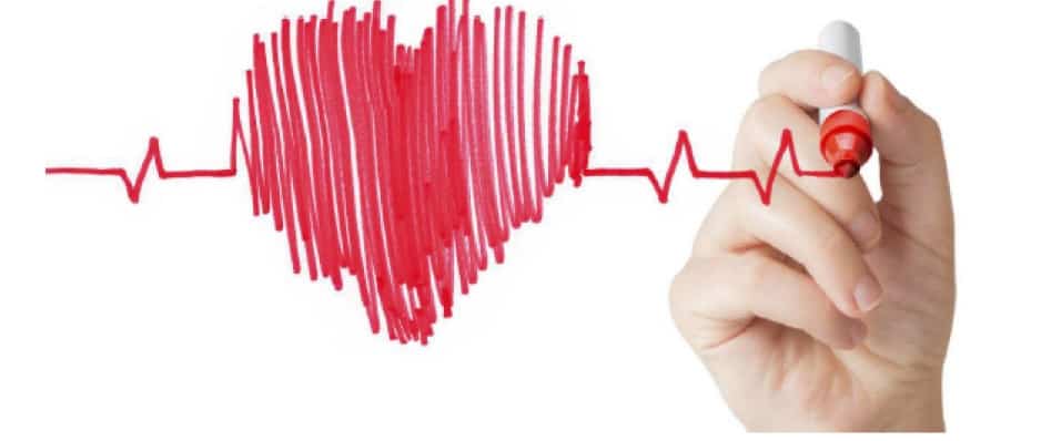 Jornada de Salut i Nutrició organitzada per la Fundació Agrupació