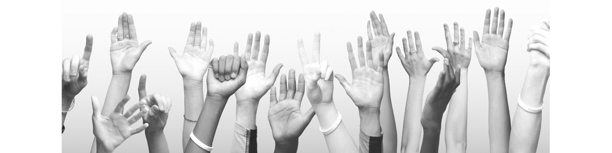 La FAV de Terrassa davant del nou Consell de Participació